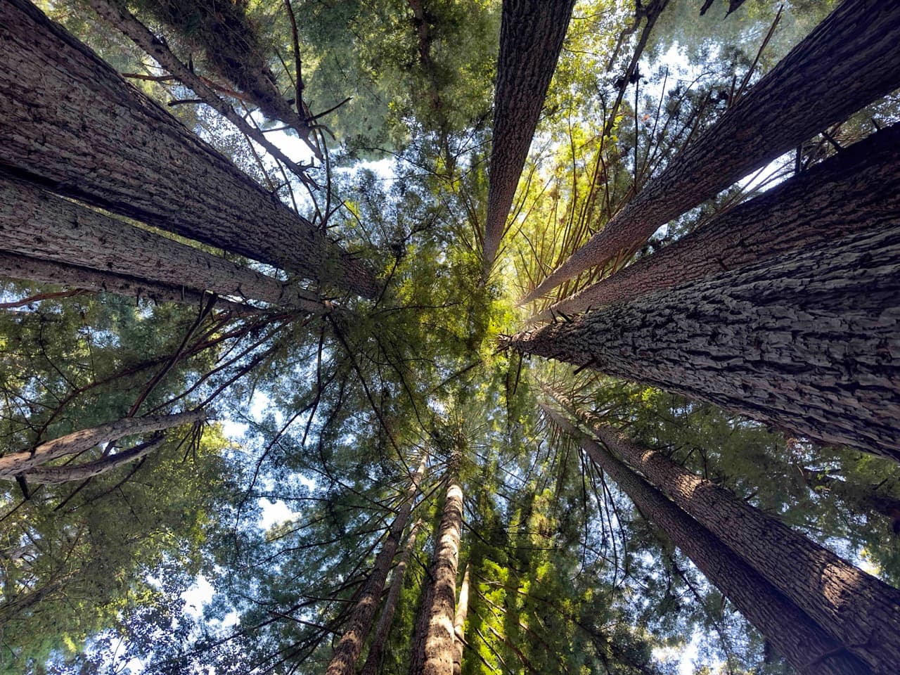 Me standing on stage at SmashingConf giving a talk about my optimism for the web